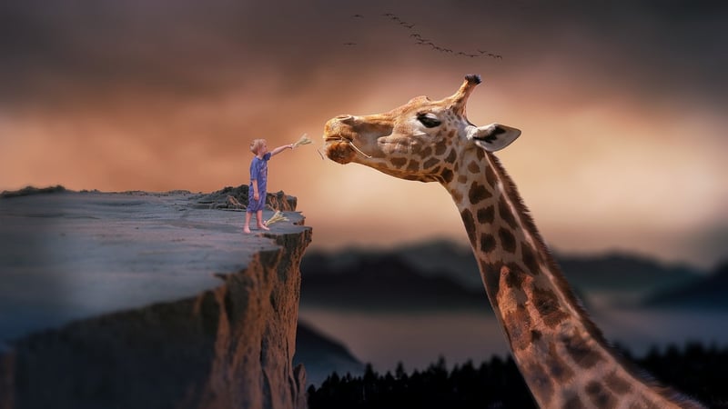 Dream Wishlist Image